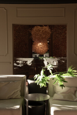 JUGO™ Creative Studio & Management Agency