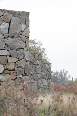 JUGO™ Creative Studio & Management Agency