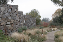 JUGO™ Creative Studio & Management Agency