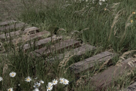 JUGO™ Creative Studio & Management Agency