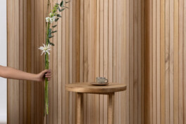 JUGO™ Creative Studio & Management Agency