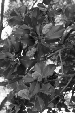 JUGO™ Creative Studio & Management Agency